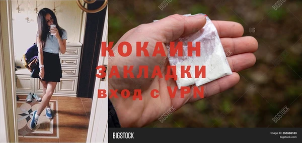 стаф Кулебаки