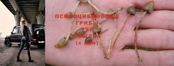 молекула духа Куйбышев