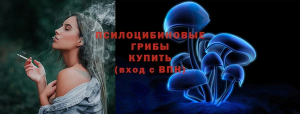 стаф Кулебаки
