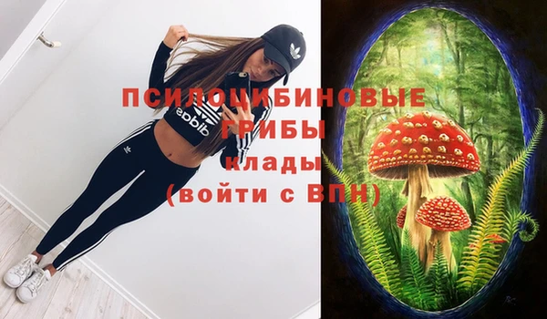 молекула духа Куйбышев