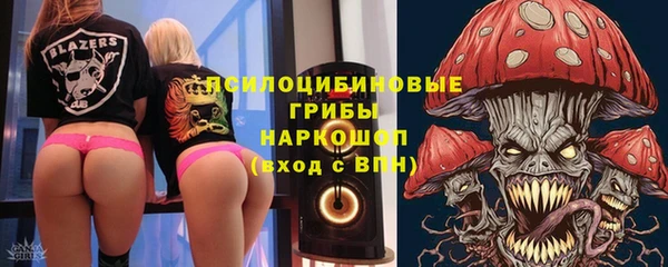 молекула духа Куйбышев